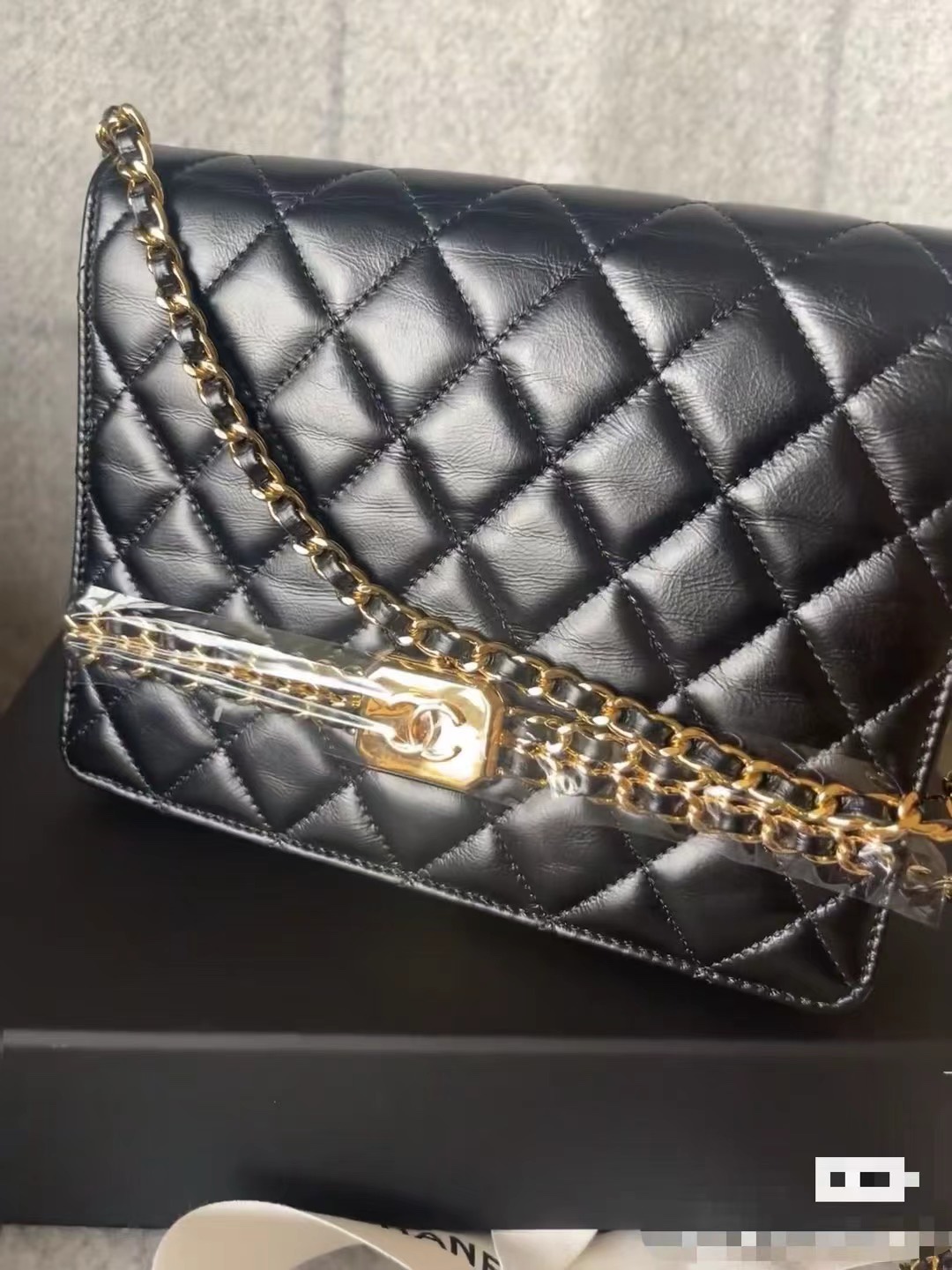 Chanel Luxury Handbag Collection 6