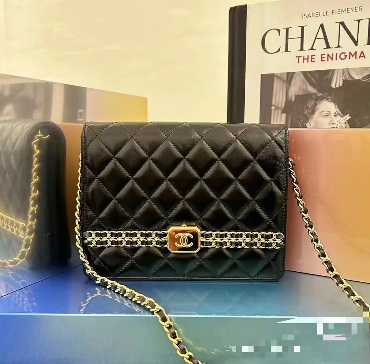 Chanel Luxury Handbag Collection 9