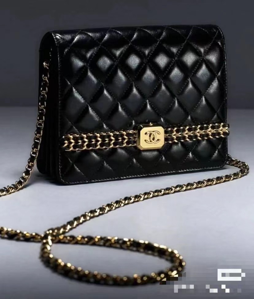 Chanel Luxury Handbag Collection 3