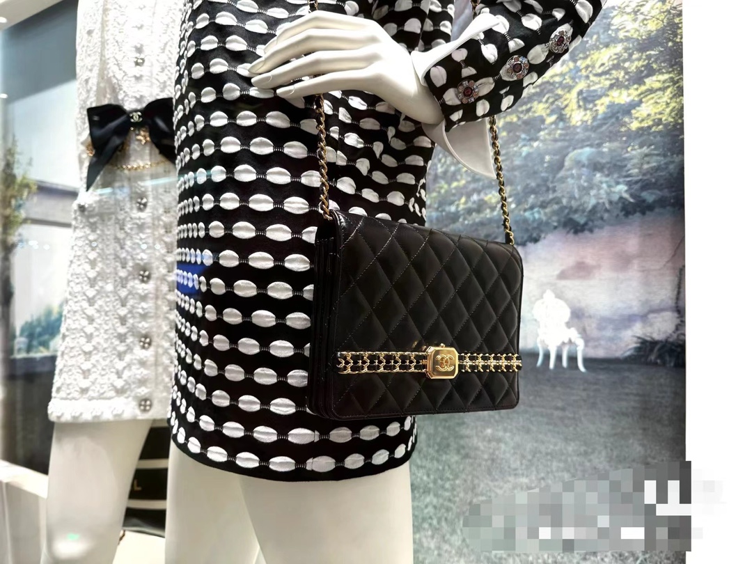 Chanel Luxury Handbag Collection 2