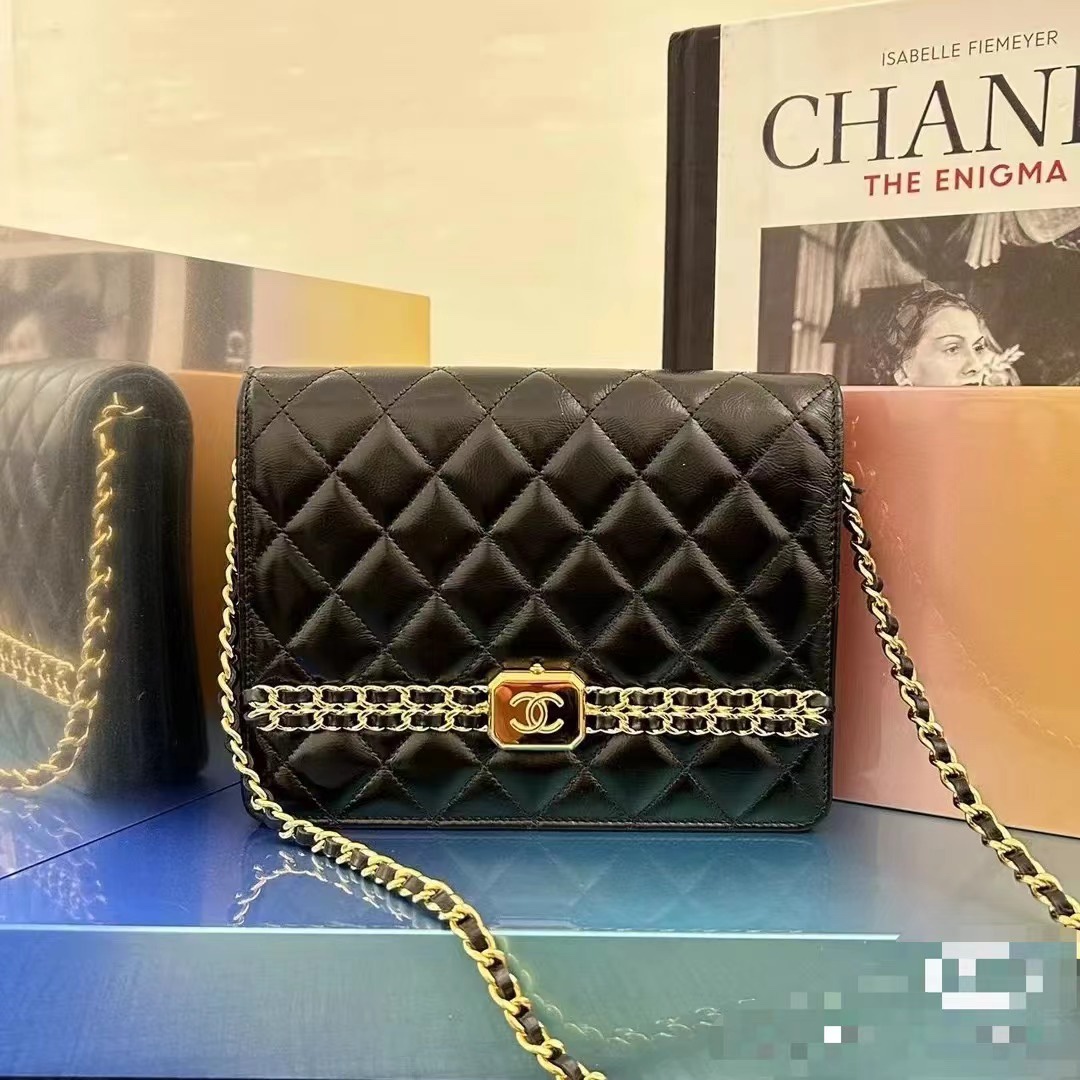 Chanel Luxury Handbag Collection 8