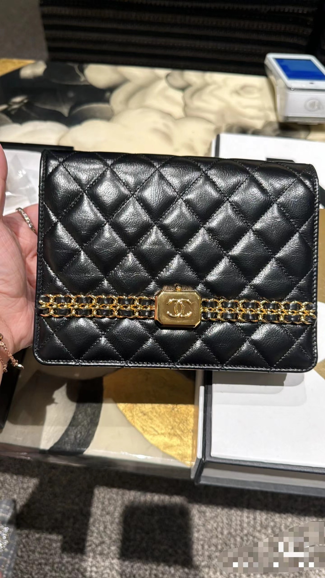 Chanel Luxury Handbag Collection 7
