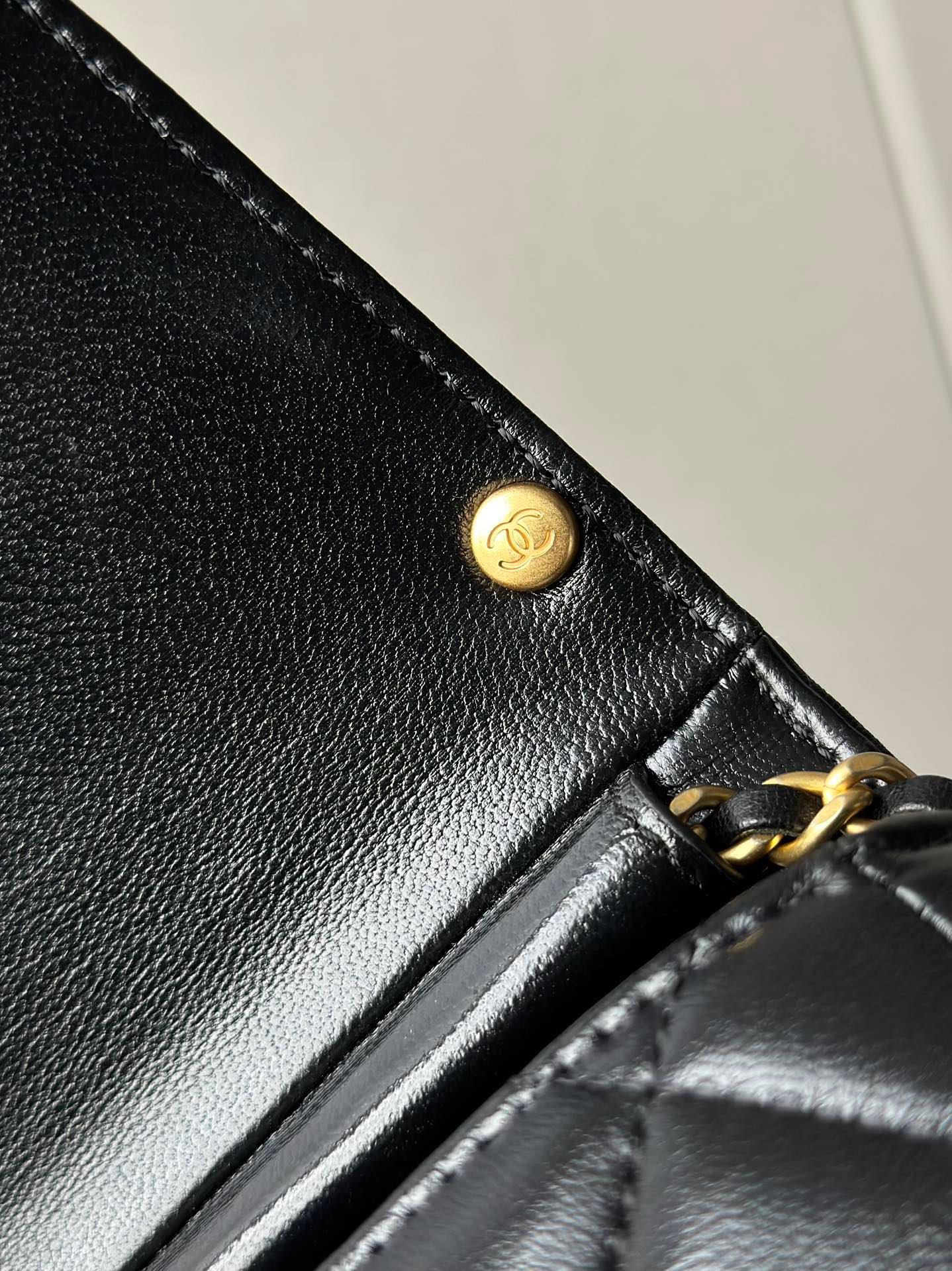 Chanel Luxury Handbag Collection 9