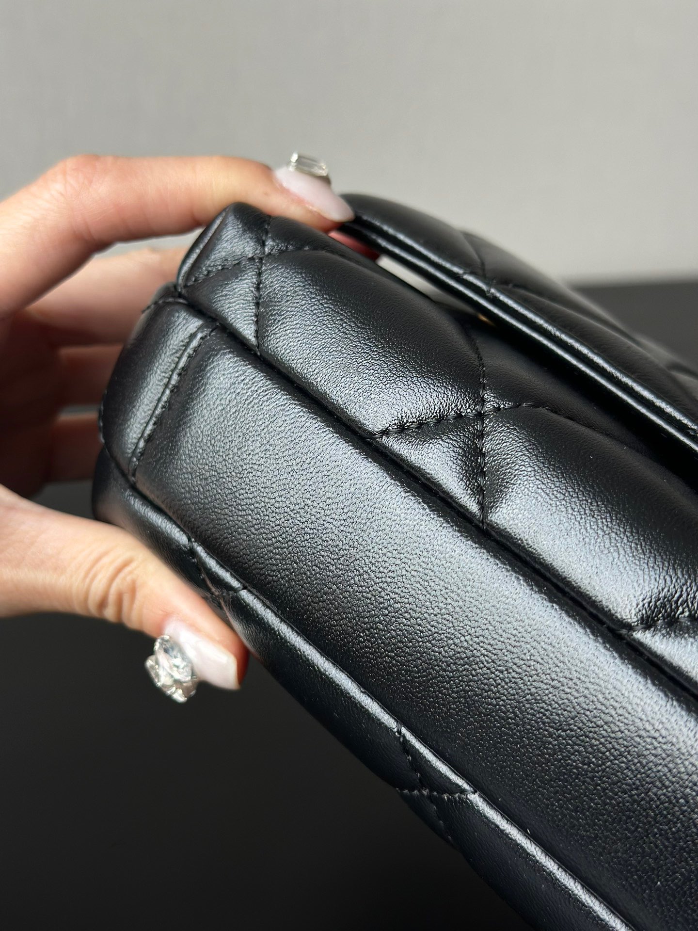 Chanel Luxury Handbag Collection 4