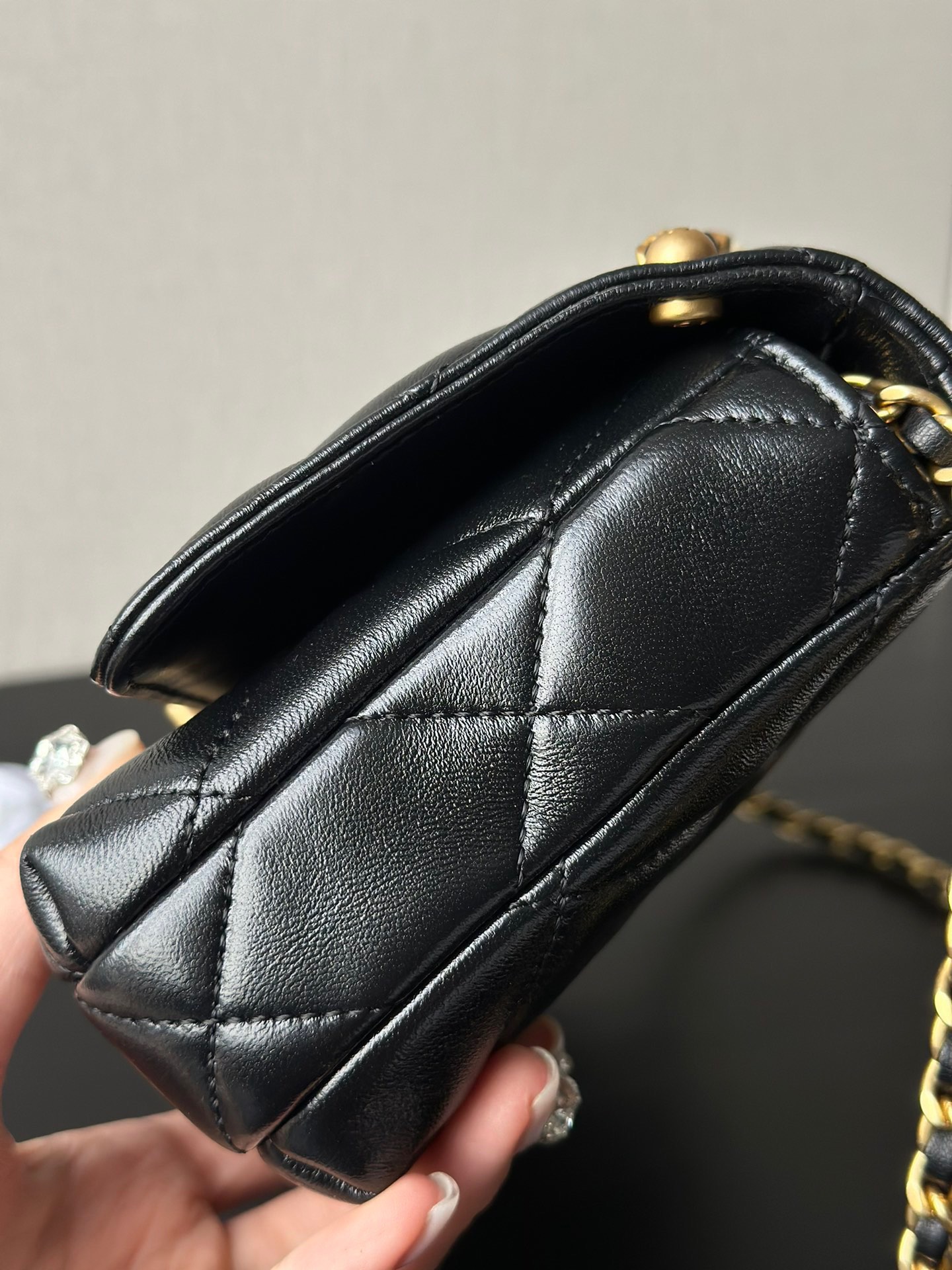 Chanel Luxury Handbag Collection 2