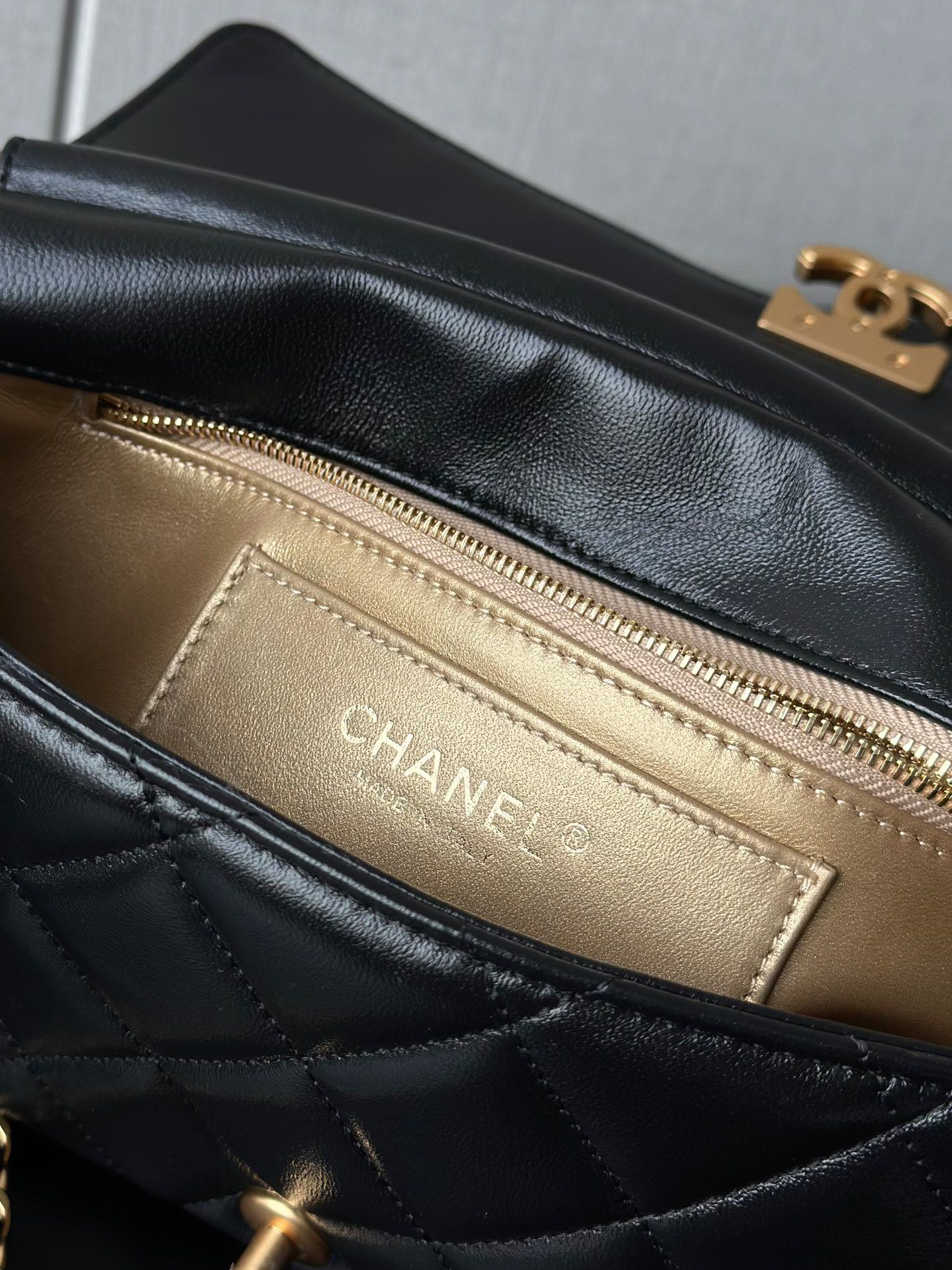 Chanel Luxury Handbag Collection 7