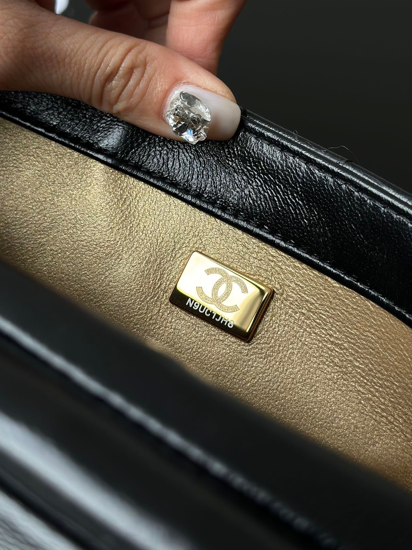 Chanel Luxury Handbag Collection 6