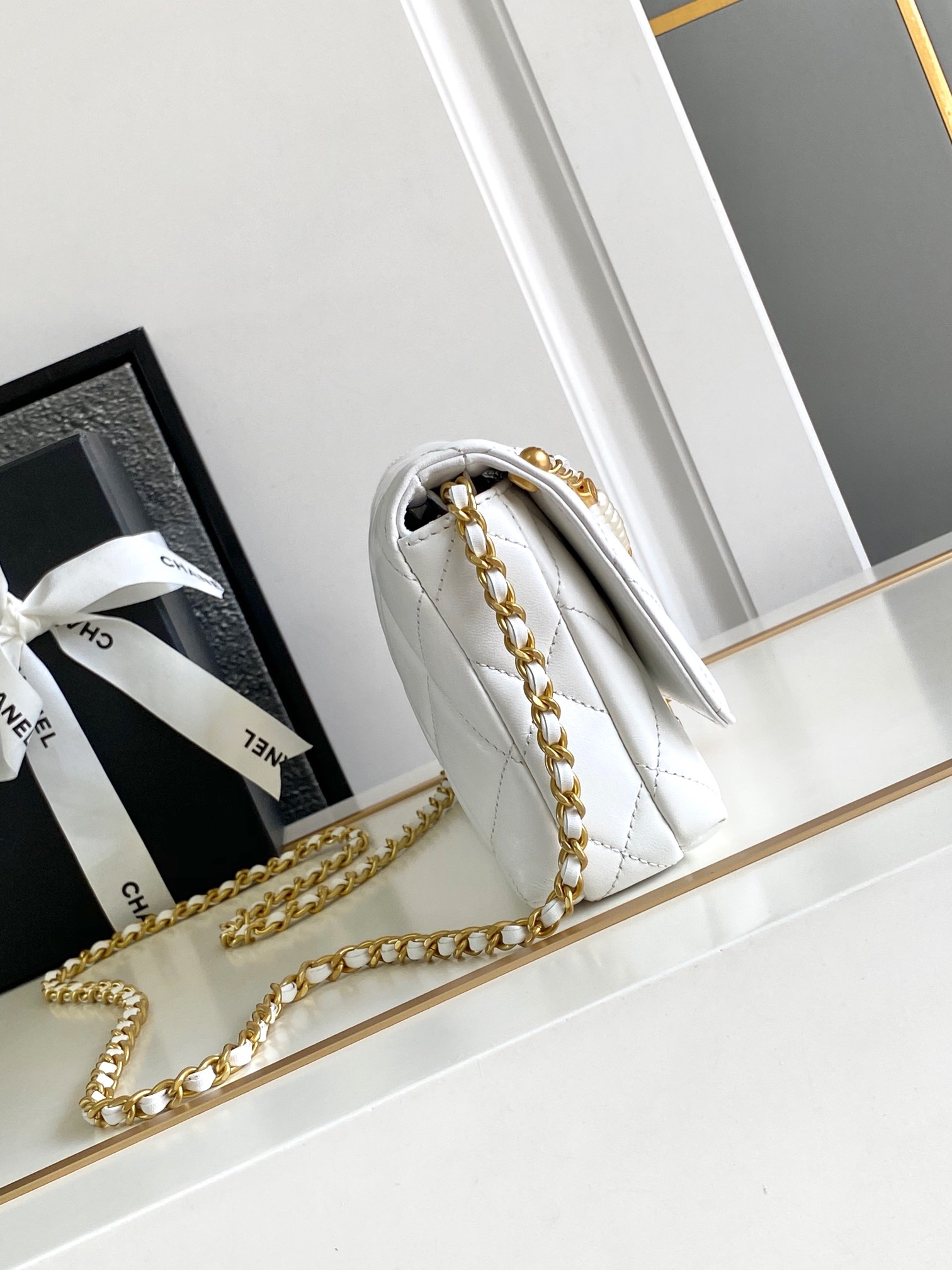 Chanel Luxury Handbag Collection 2