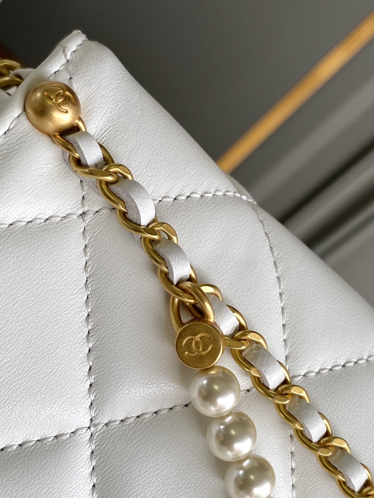 Chanel Luxury Handbag Collection 7