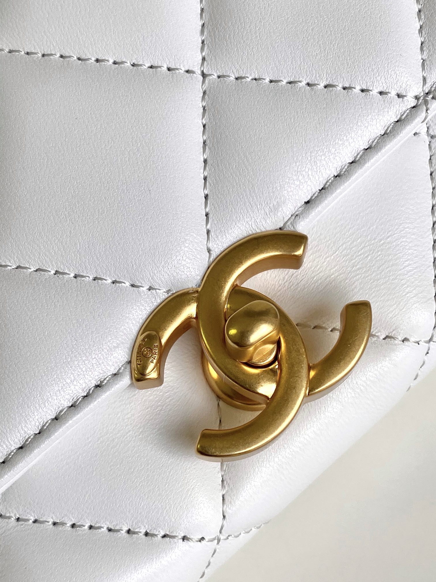 Chanel Luxury Handbag Collection 5