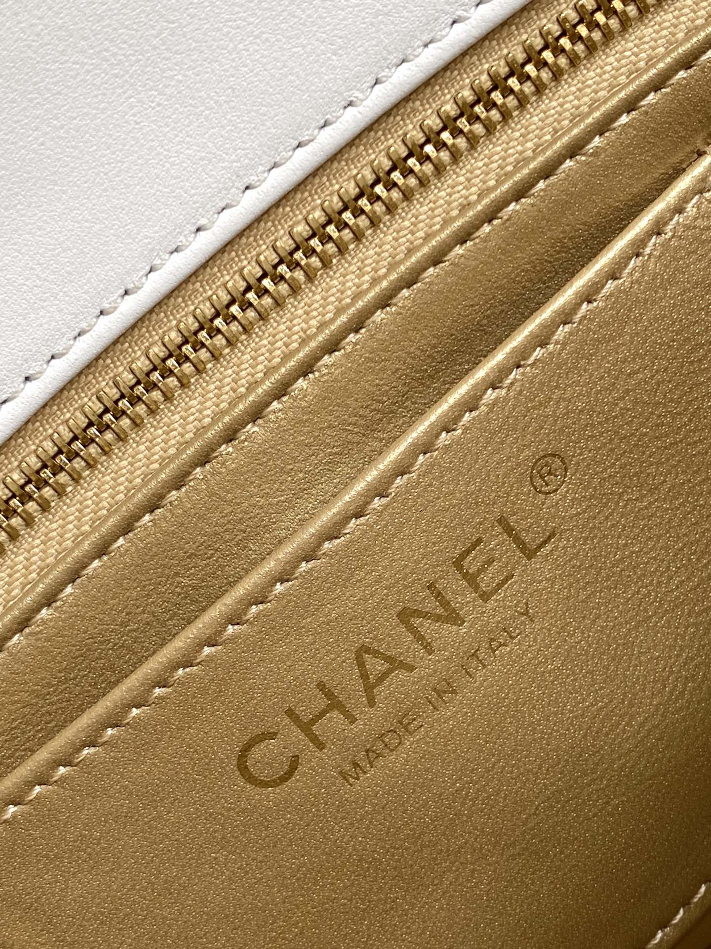 Chanel Luxury Handbag Collection 9