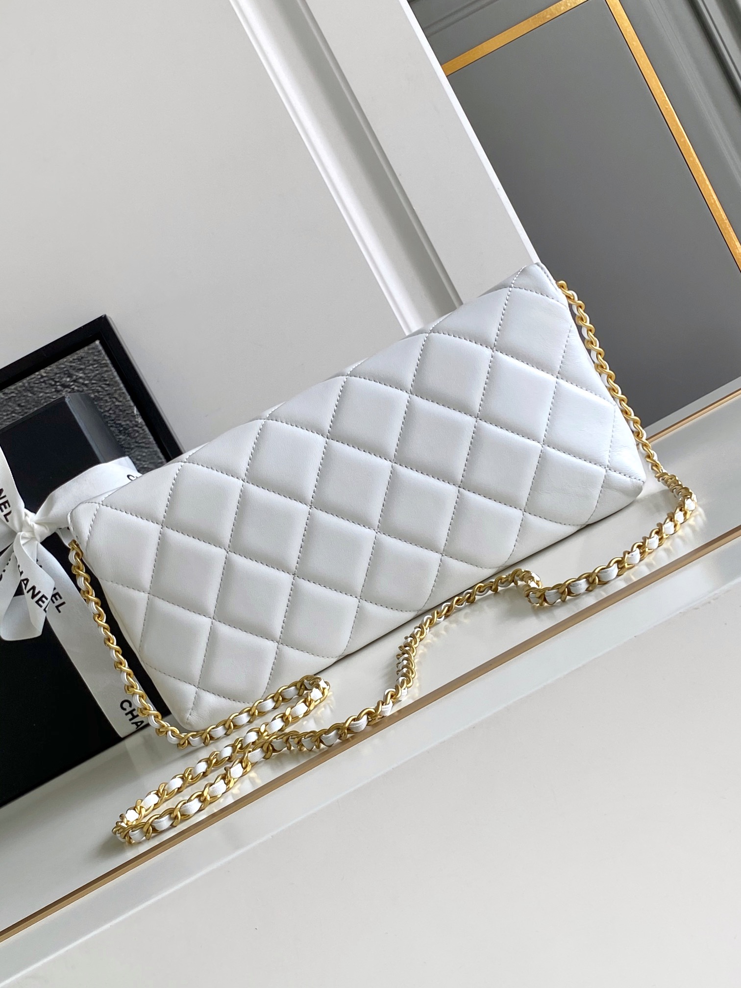 Chanel Luxury Handbag Collection 3