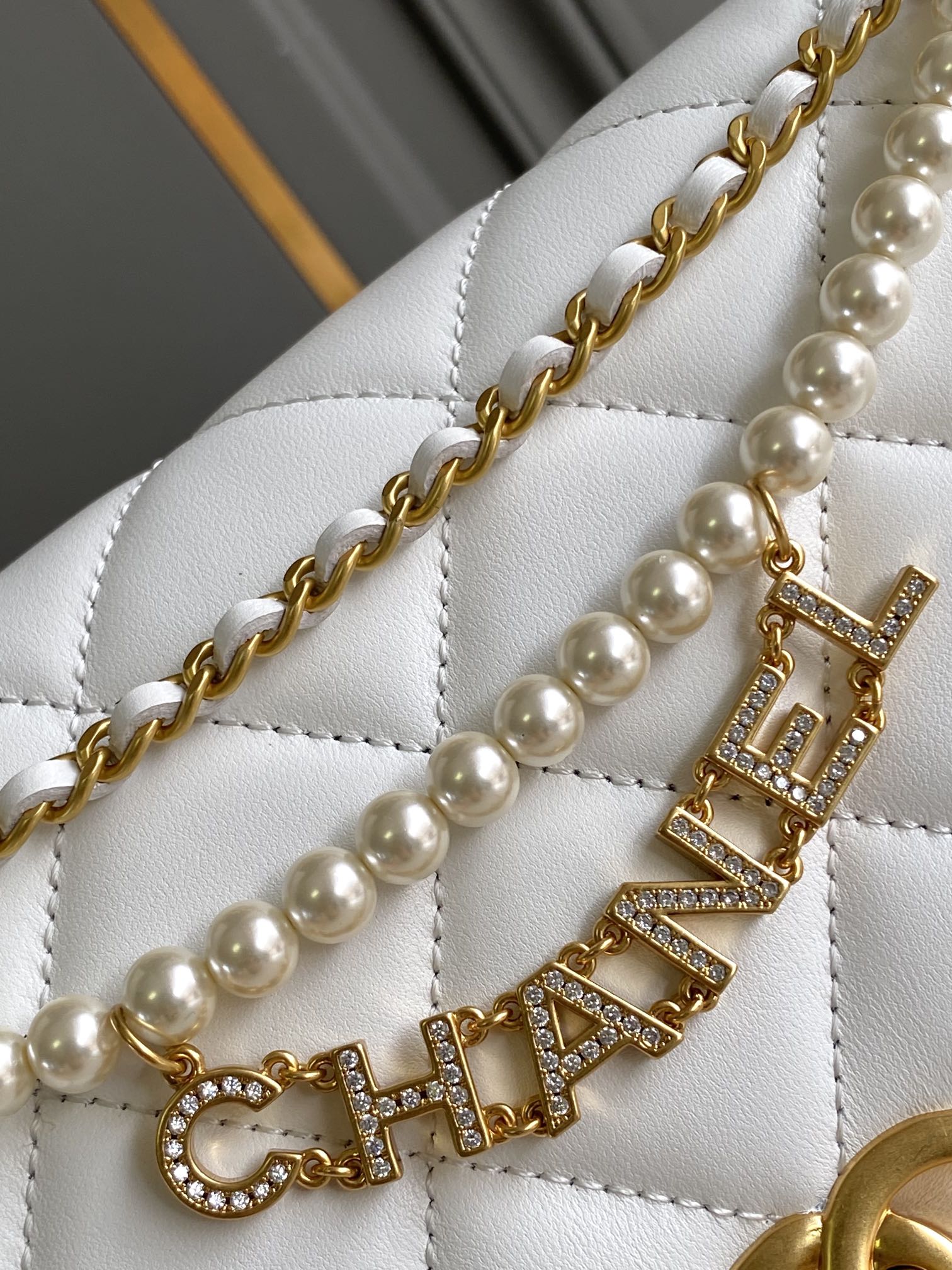 Chanel Luxury Handbag Collection 6
