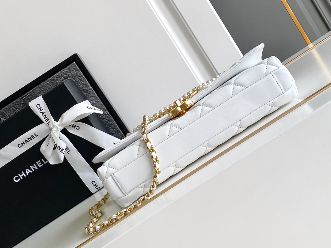 Chanel Luxury Handbag Collection 4