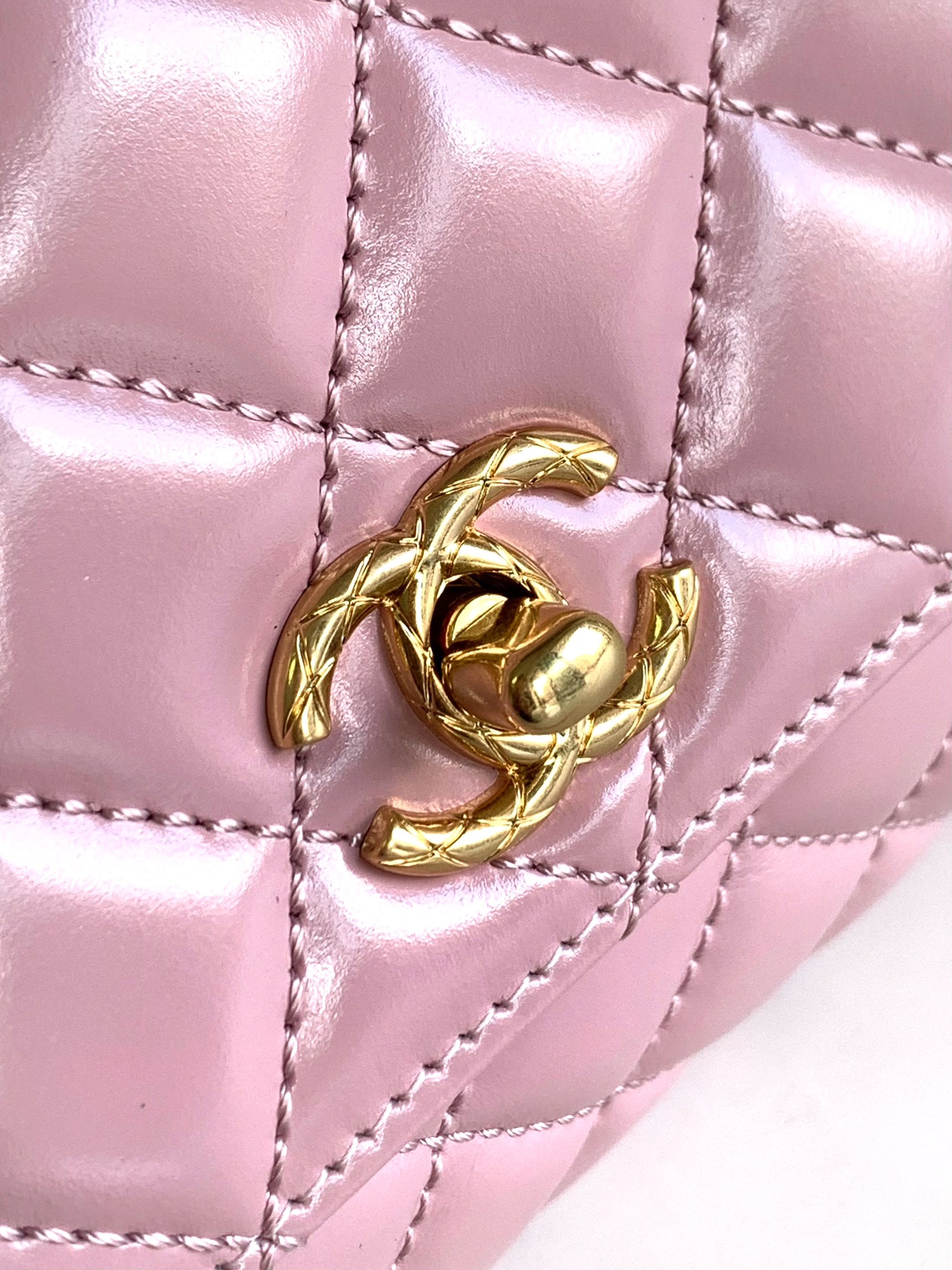 诺悠翩雅 Loro Piana 高定经典皮革女包手袋 #26ED9D6E 7
