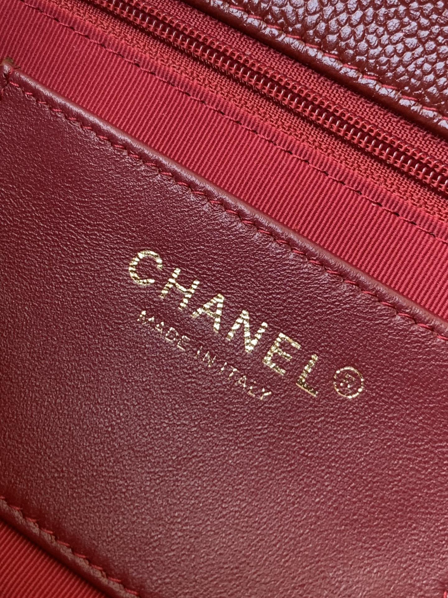 Chanel Luxury Handbag Collection 9