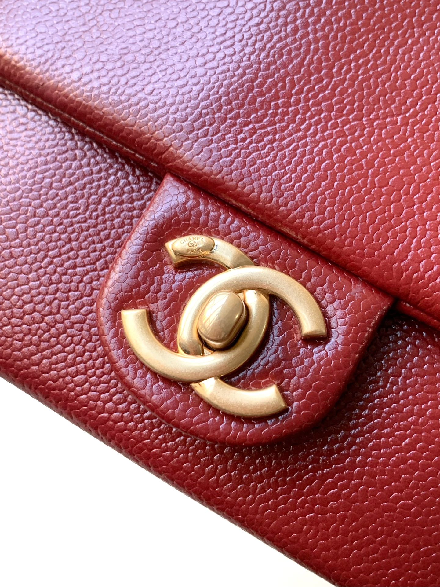 Chanel Luxury Handbag Collection 7