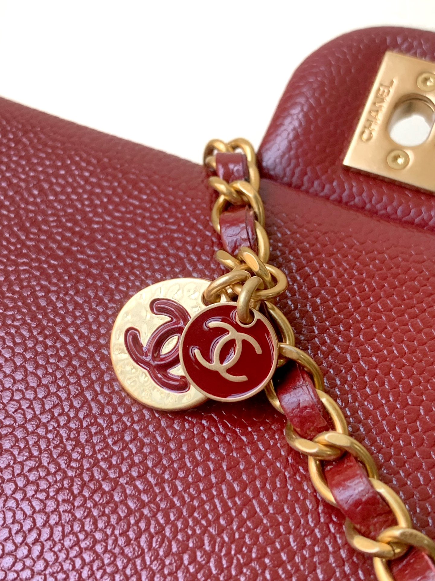 Chanel Luxury Handbag Collection 6