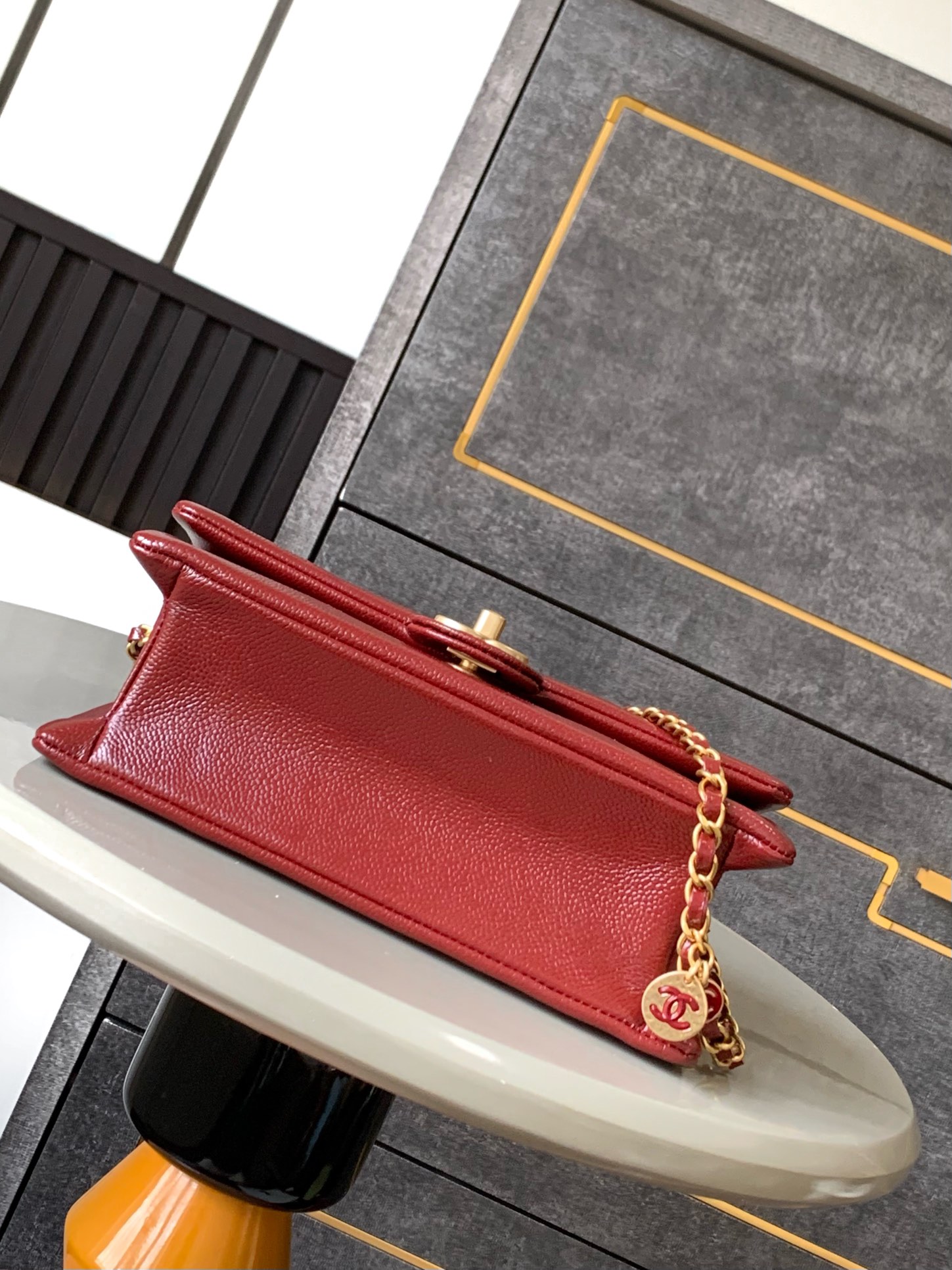 Chanel Luxury Handbag Collection 4