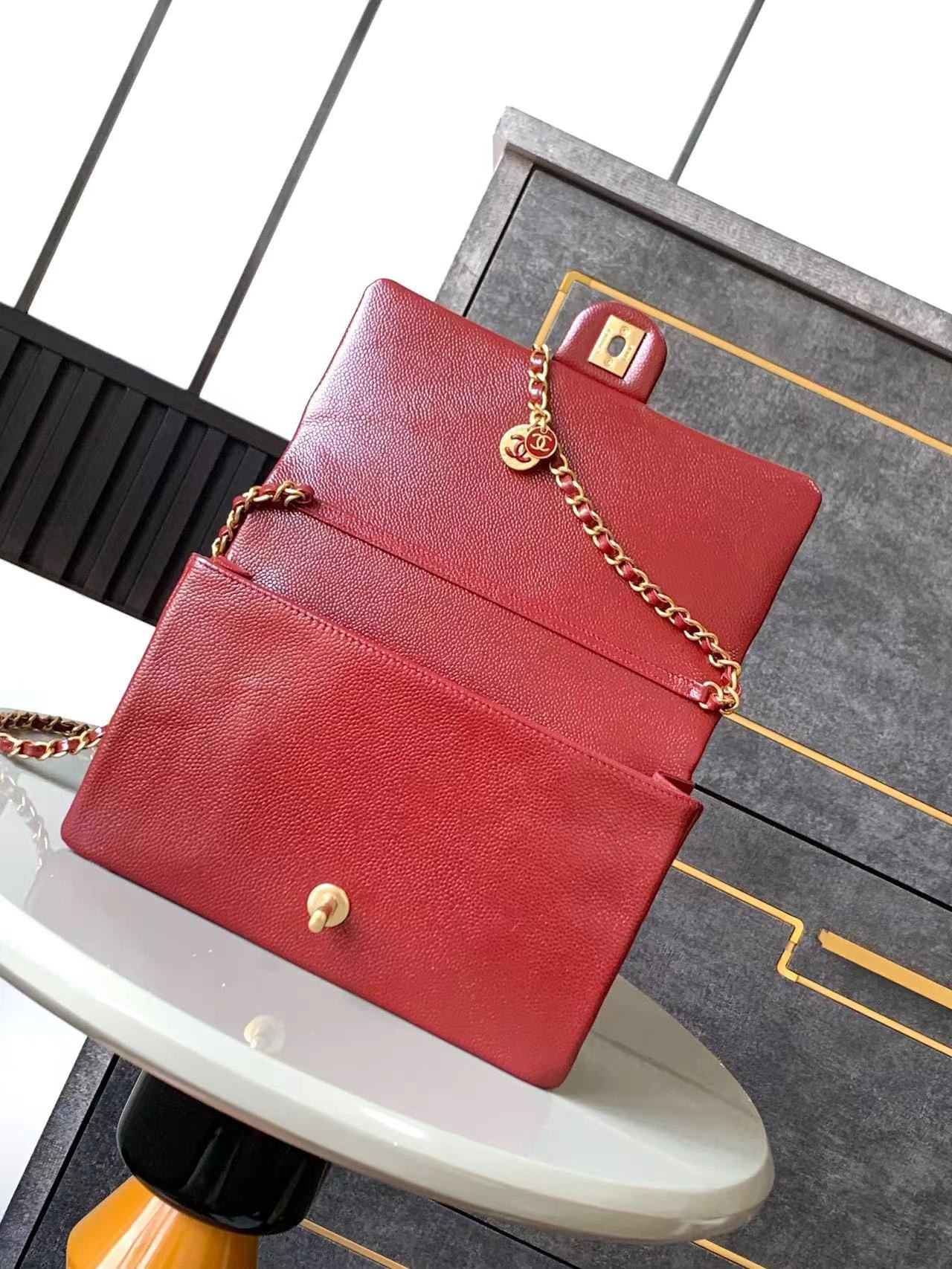 Chanel Luxury Handbag Collection 5