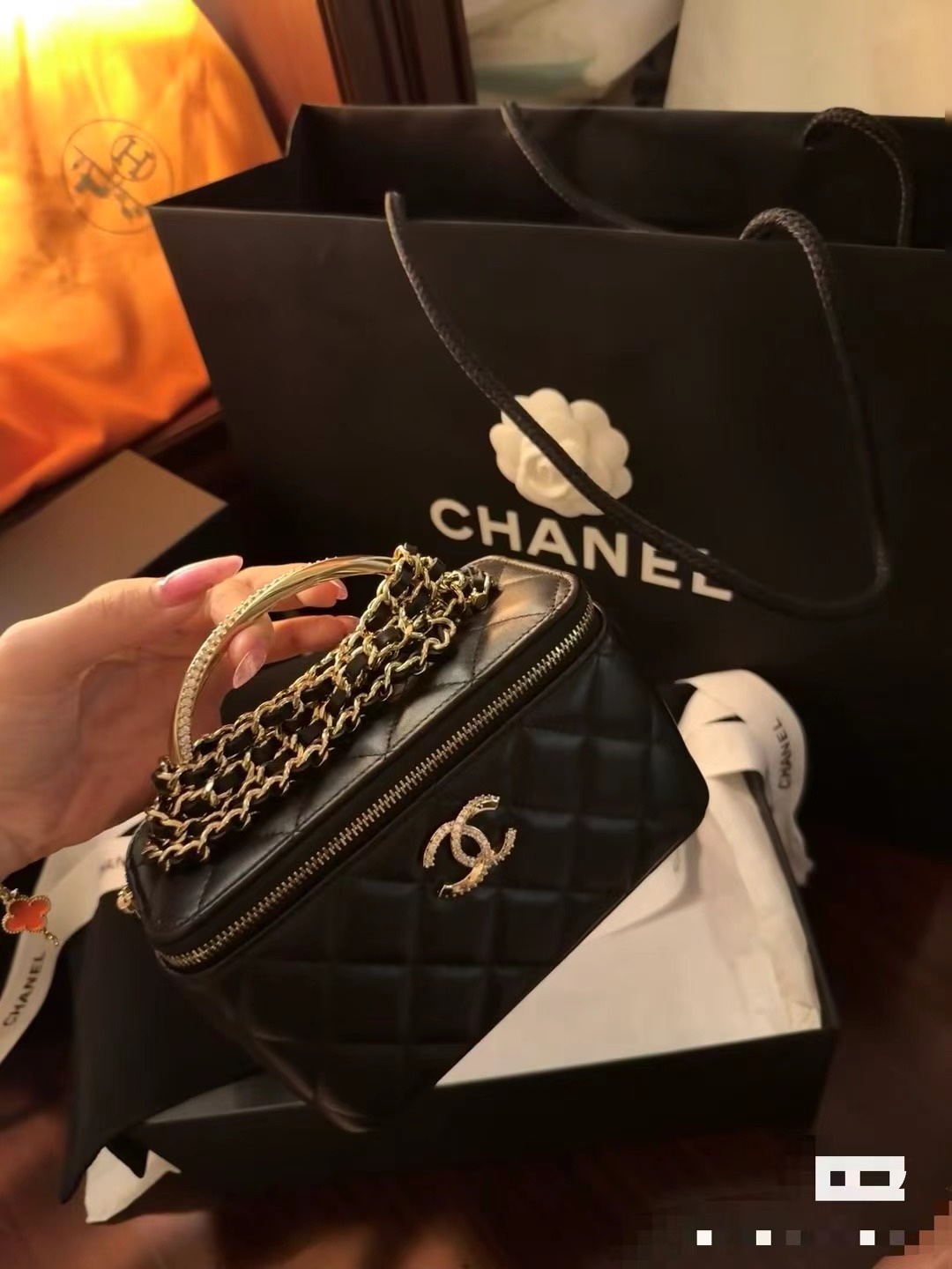 Chanel Luxury Handbag Collection 6