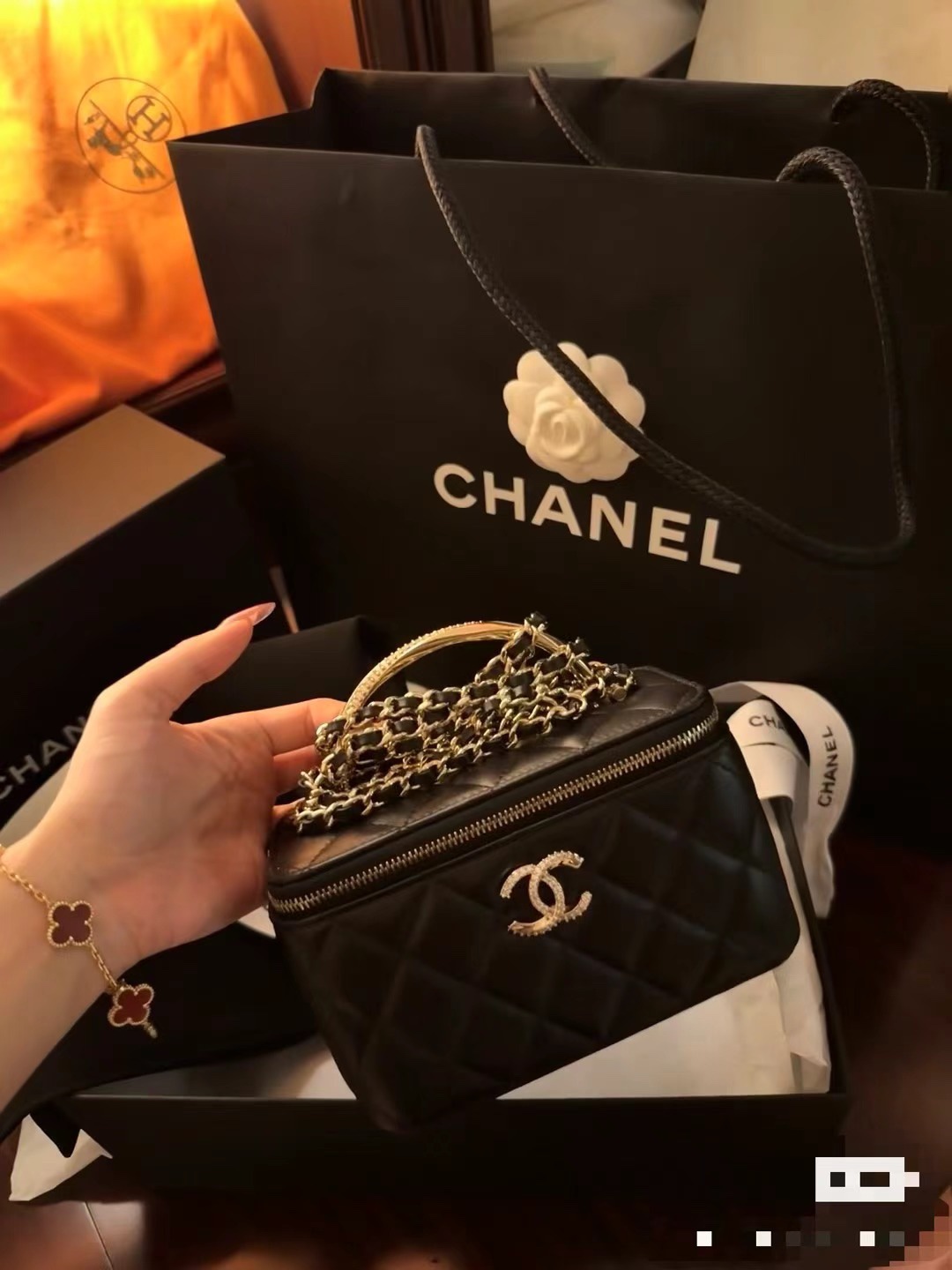 Chanel Luxury Handbag Collection 7