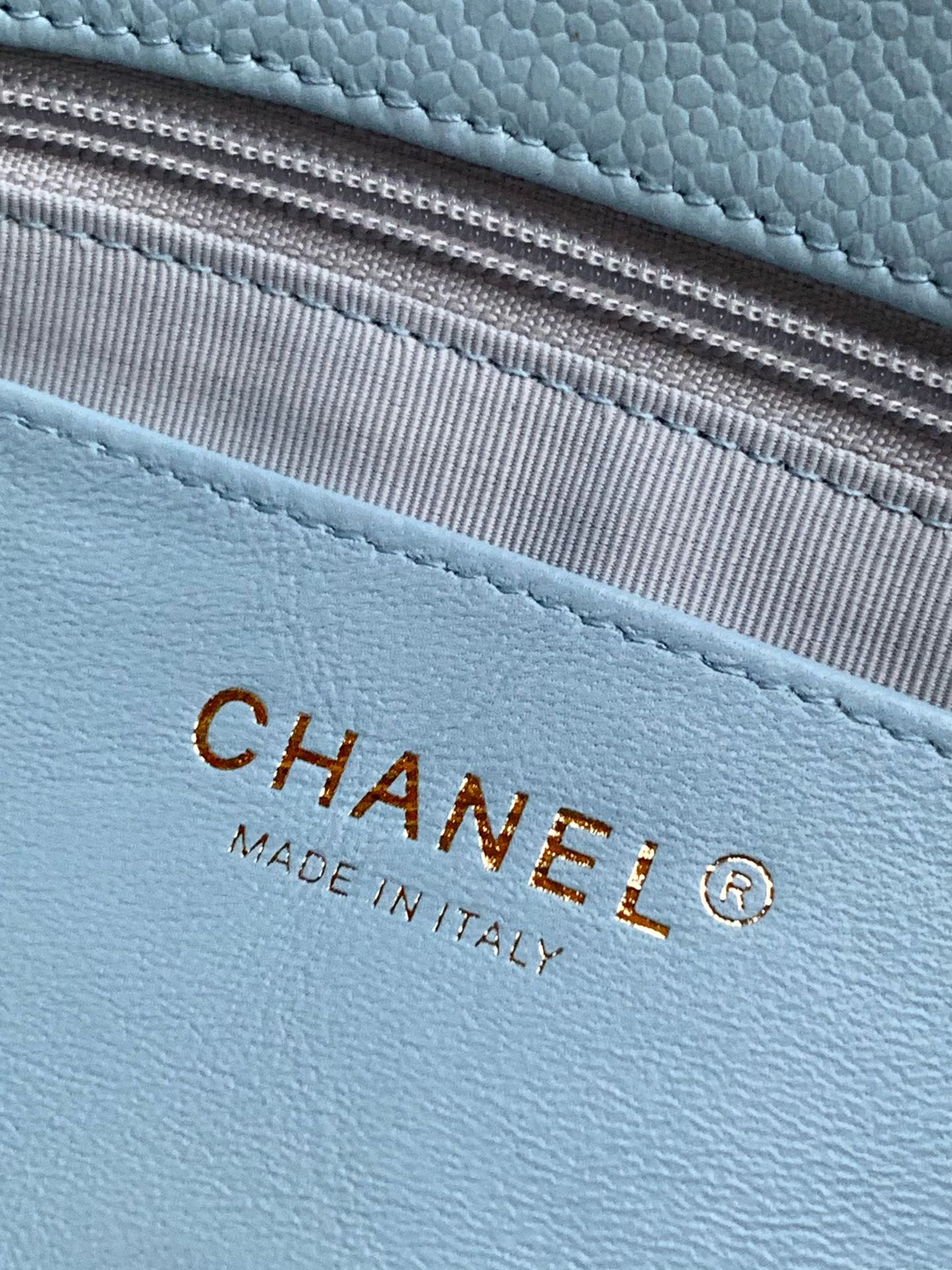 Chanel Luxury Handbag Collection 9