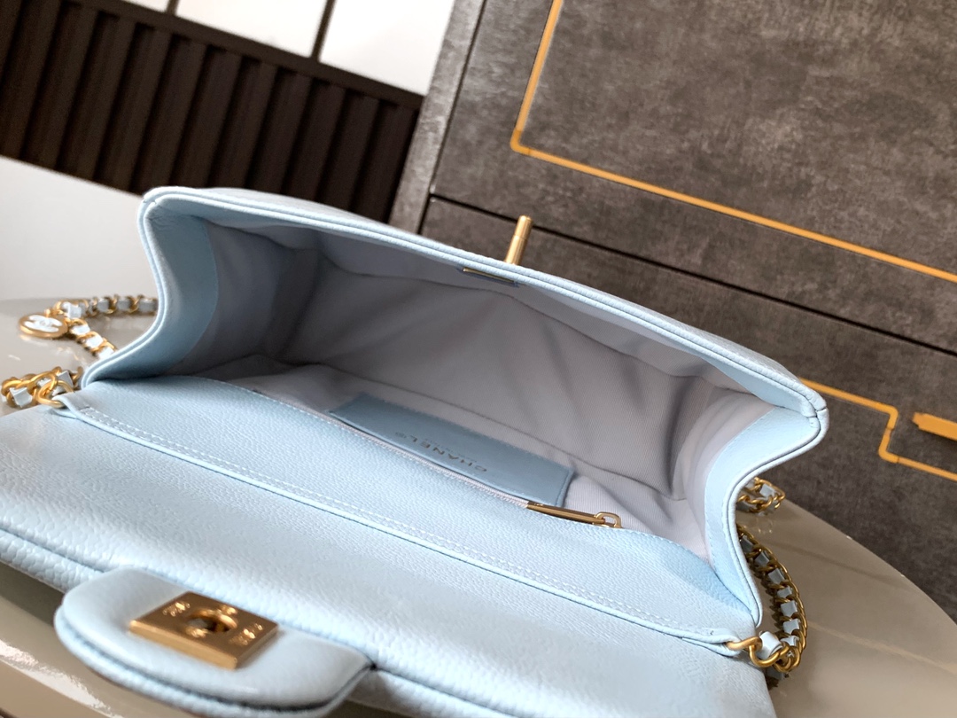 Chanel Luxury Handbag Collection 8