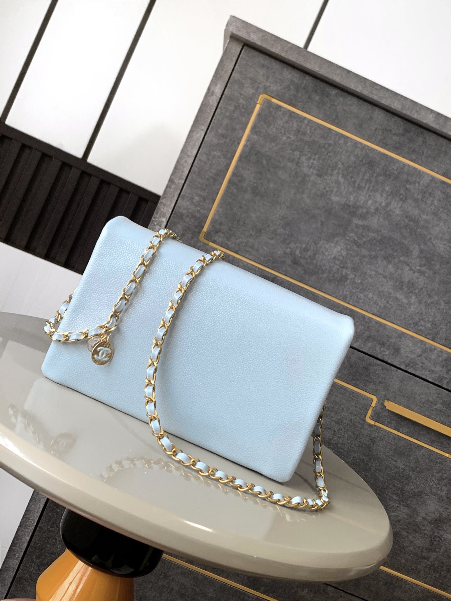 Chanel Luxury Handbag Collection 3