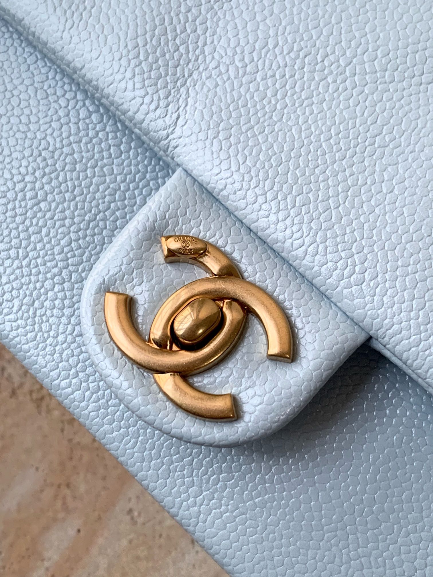 Chanel Luxury Handbag Collection 6