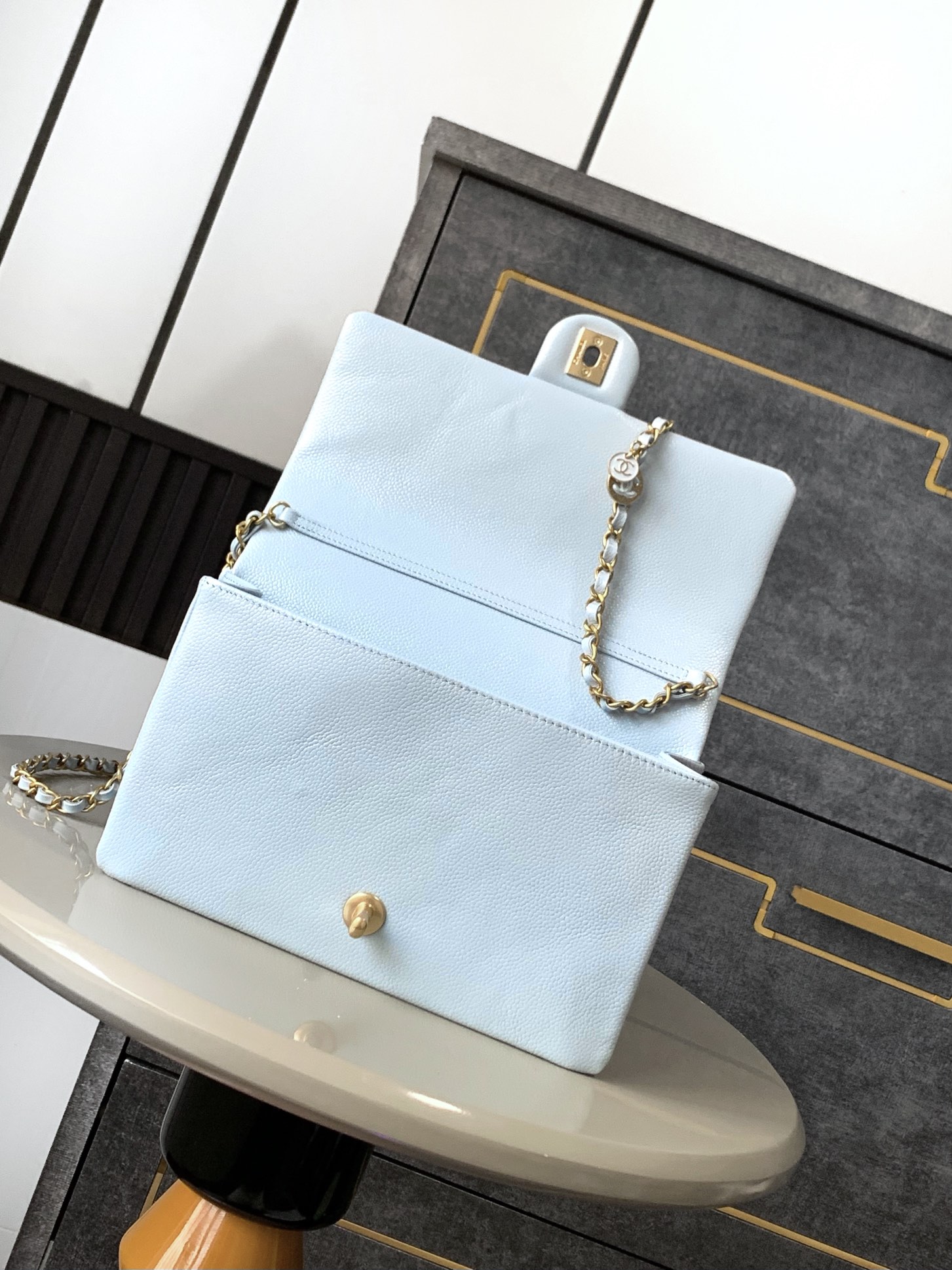Chanel Luxury Handbag Collection 5
