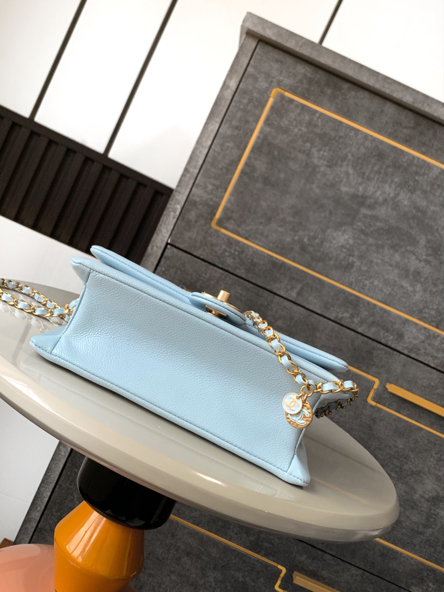Chanel Luxury Handbag Collection 4