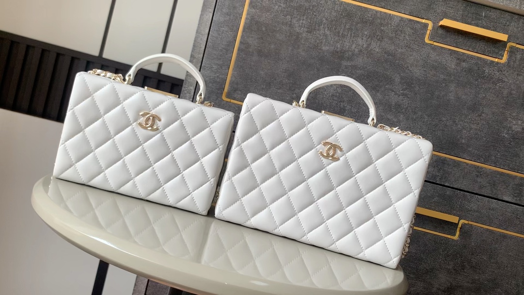 collector's vanity box bag - Bag