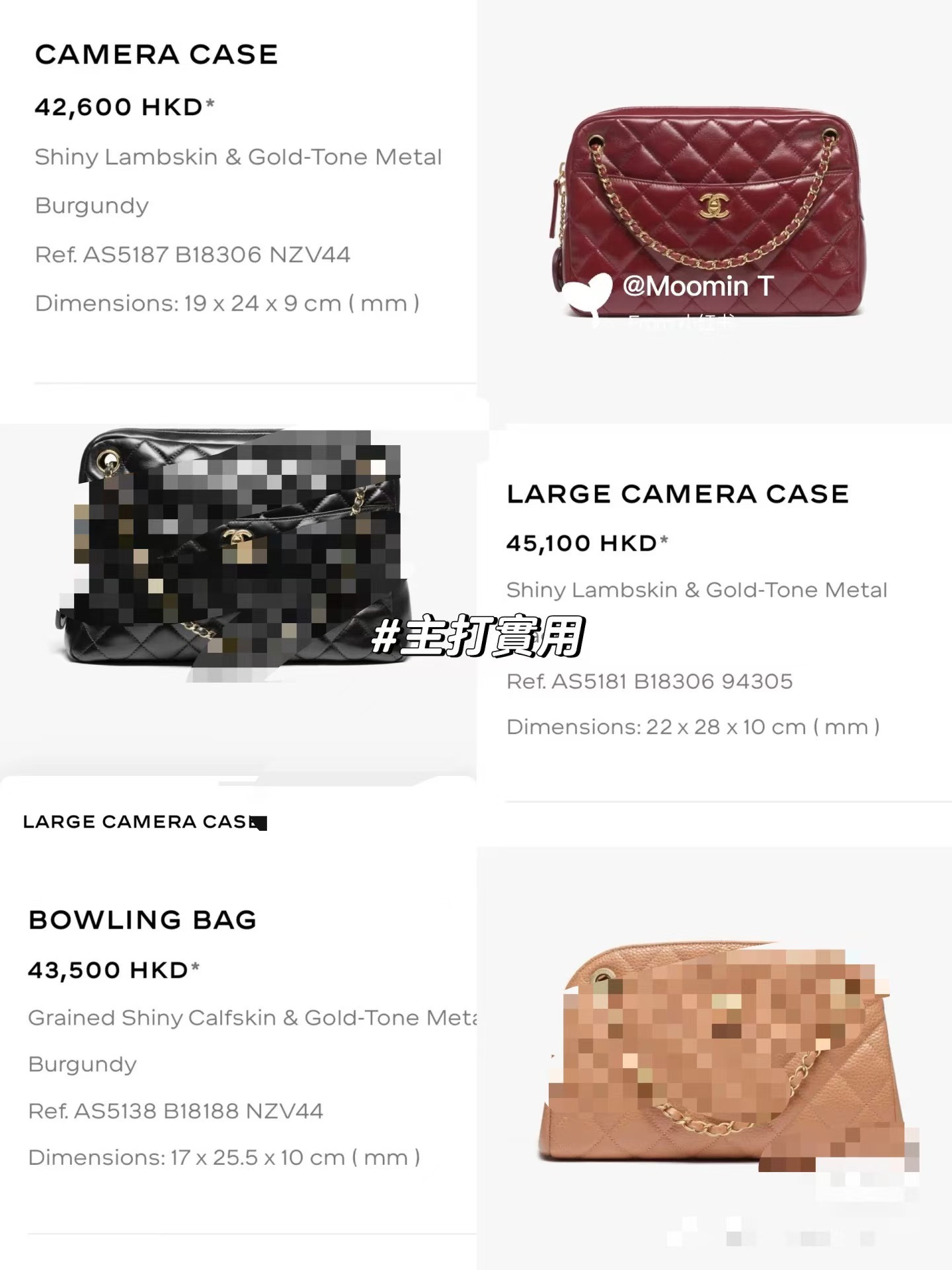 OHANEL Gold Coin Medallion Camera Bag - Bag 5