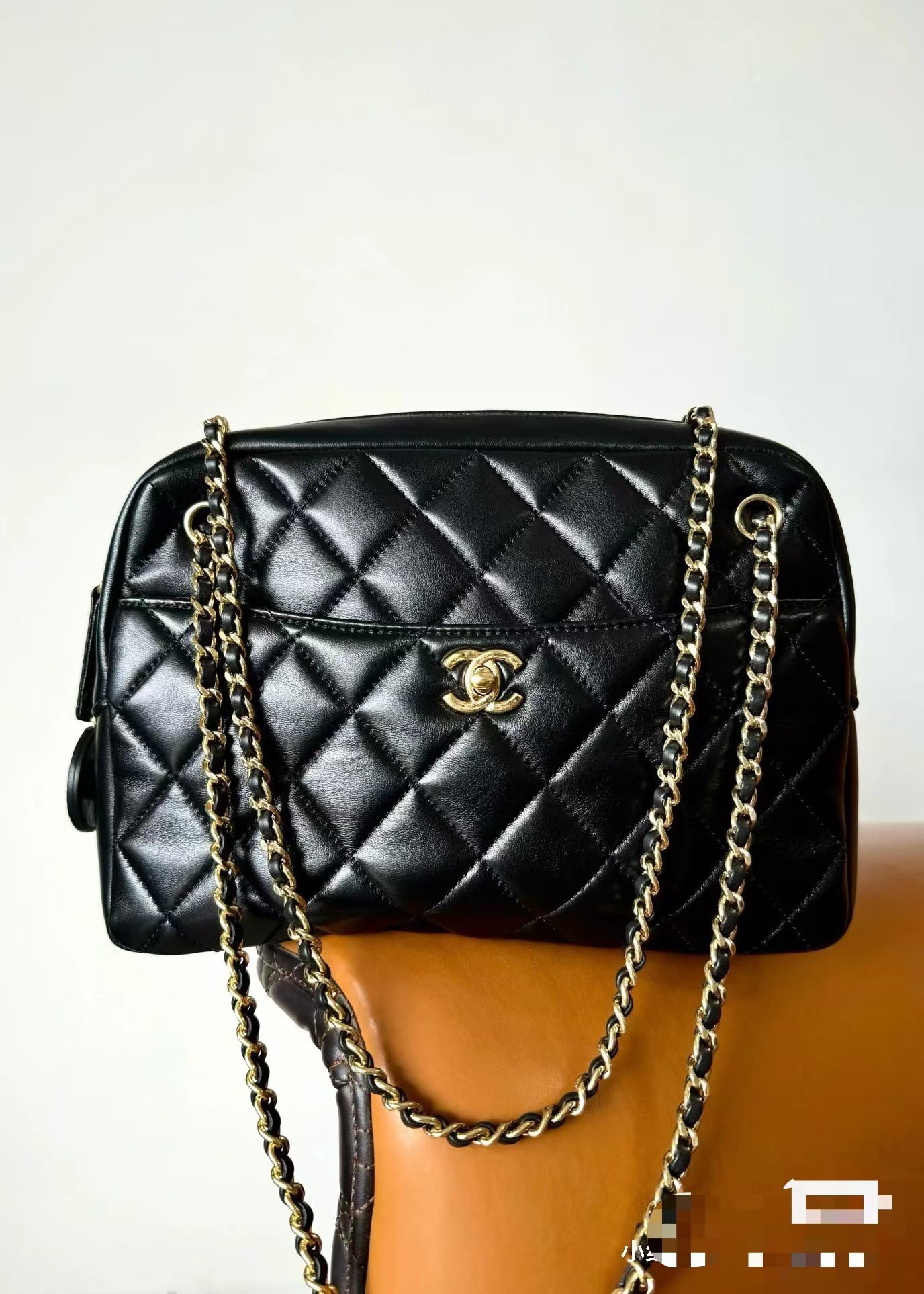OHANEL Gold Coin Medallion Camera Bag - Bag