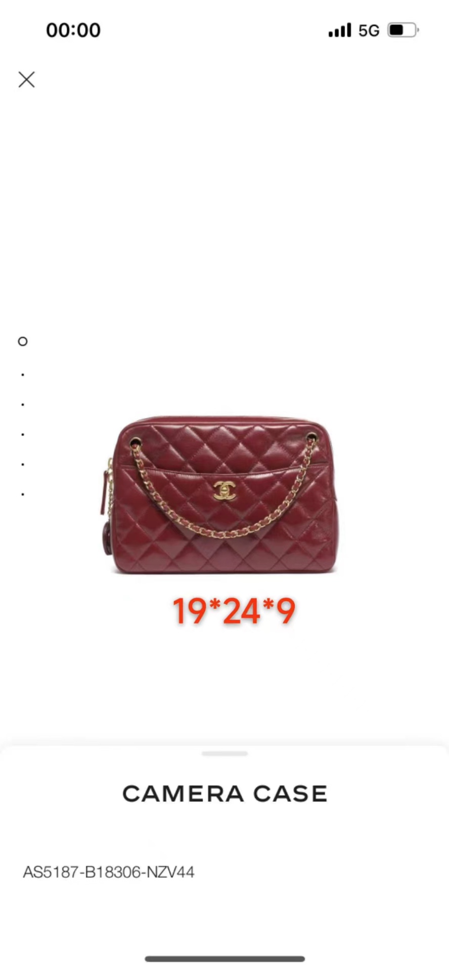 OHANEL Gold Coin Medallion Camera Bag - Bag