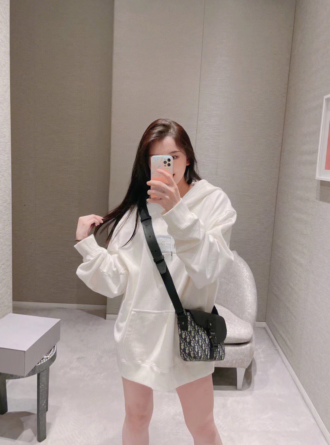 Dior/迪奥 22Fw 刺绣银标连帽卫衣