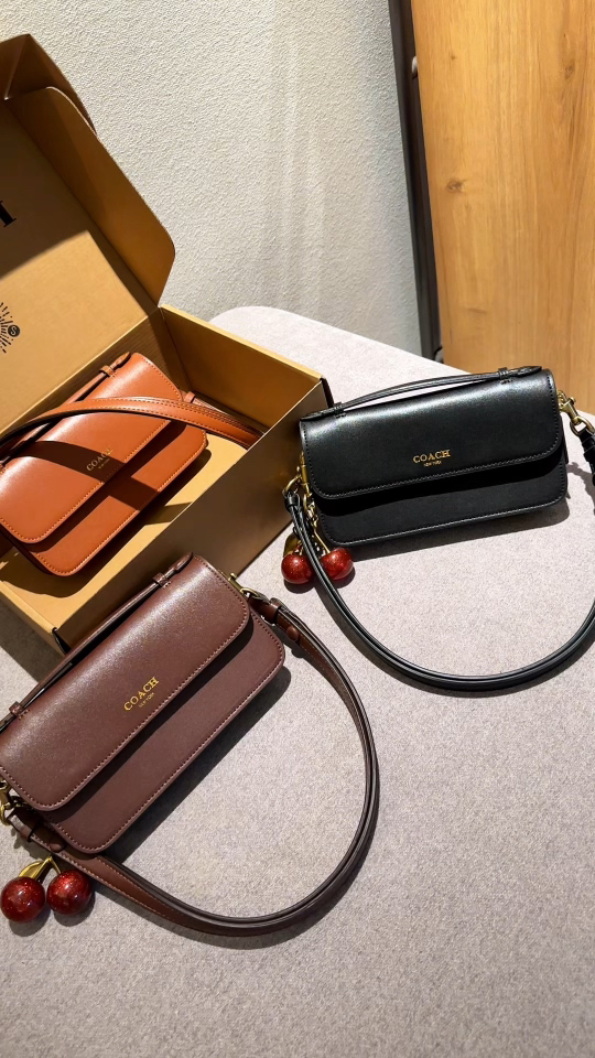 Los bolsos pequeños de Coach, por supuesto, no pueden faltar la serie Erloa. Durante todo el año, tengo una preferencia…