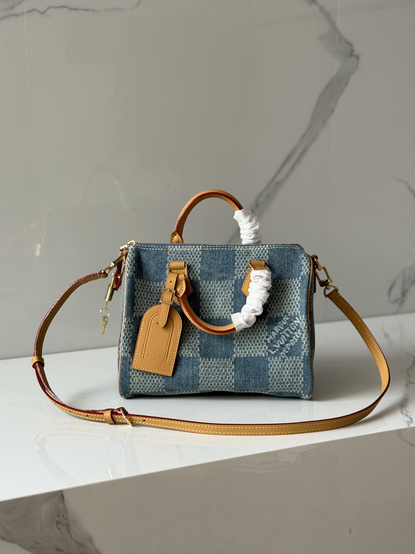 Louis Vuitton LV Speedy Tassen handtassen Blauw Gitter Fashion N40700