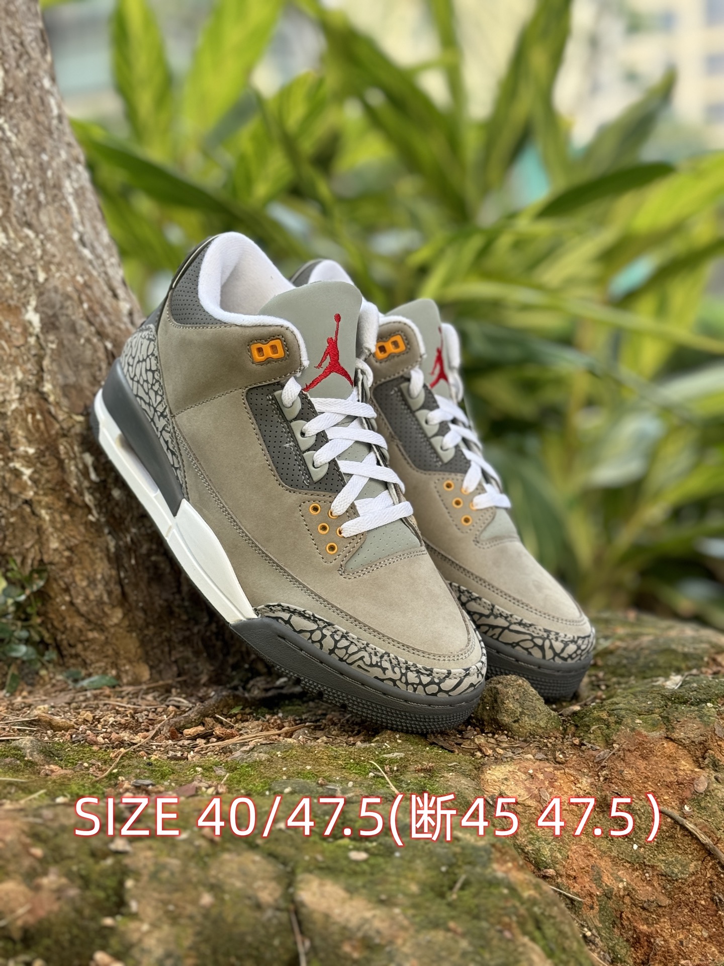 福利特价‼️图片断码备注‼️
自取💰 200  放店私信 
Air Jordan 3 系列 
原皮+原底
pk任何"纯原"
SIZE 40/47.5