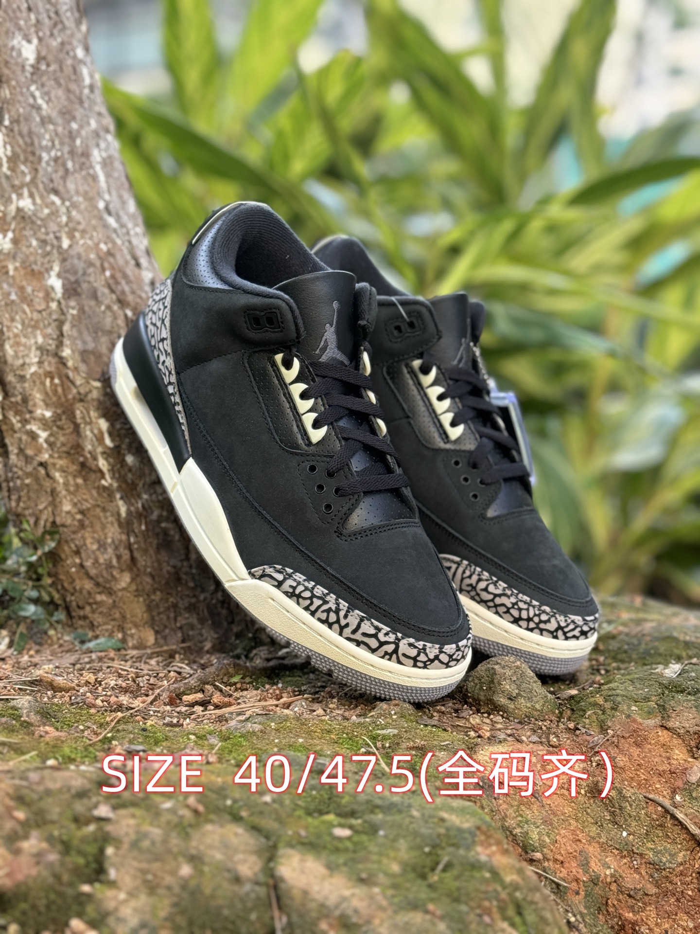 福利特价‼️图片断码备注‼️
自取💰 200  放店私信 
Air Jordan 3 系列 
原皮+原底
pk任何"纯原"
SIZE 40/47.5