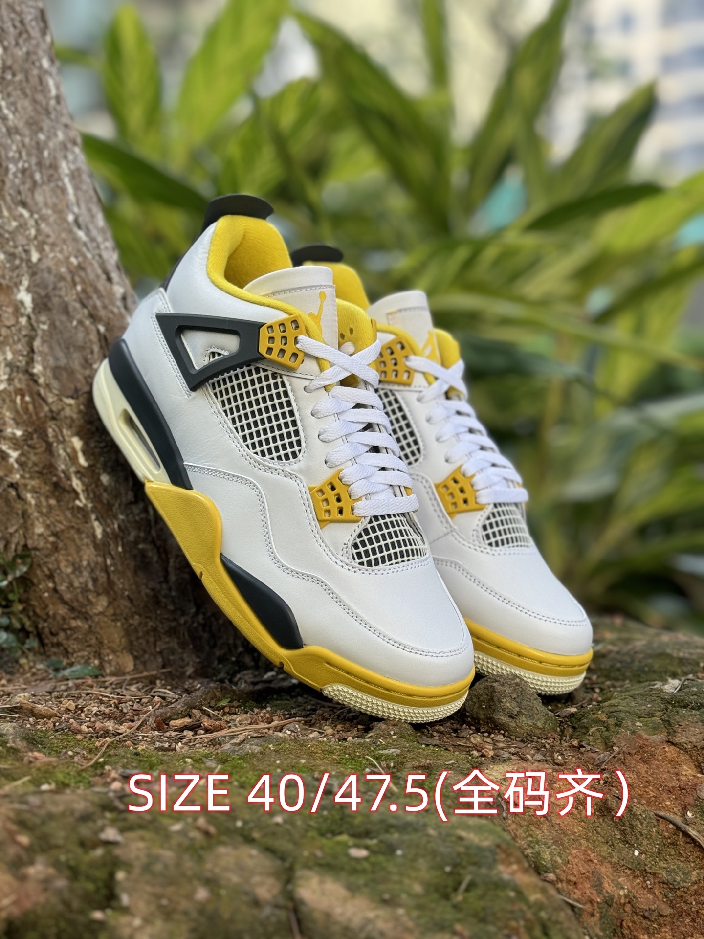 福利特价‼️图片断码备注‼️
自取💰 200  放店私信 
Air Jordan 4 AJ4 系列 
原皮+原底
pk任何"纯原"
SIZE 40/47.5