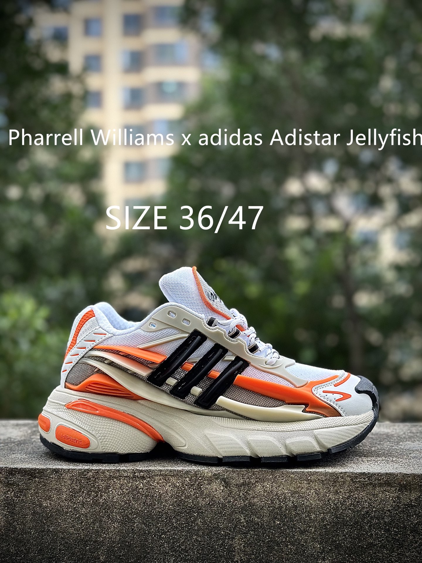 Pharrell x adidAdistar Jellyfish 低帮复古风老爹鞋 菲董4.0 水母鞋 Pharrell x adidAdistar Jellyfish 低帮复古风老爹鞋 菲董4.0 水母鞋
