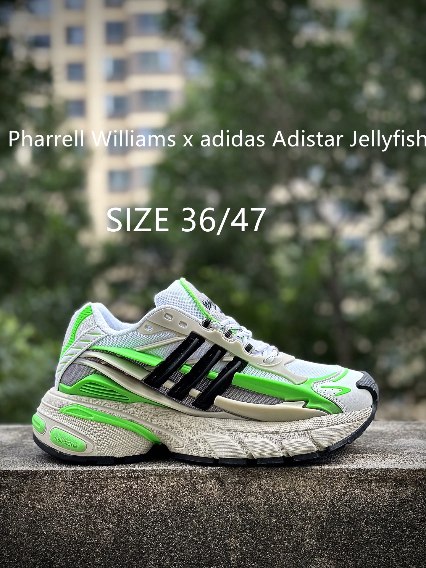Pharrell x adidAdistar Jellyfish 低帮复古风老爹鞋 菲董4.0 水母鞋 Pharrell x adidAdistar Jellyfish 低帮复古风老爹鞋 菲董4.0 水母鞋