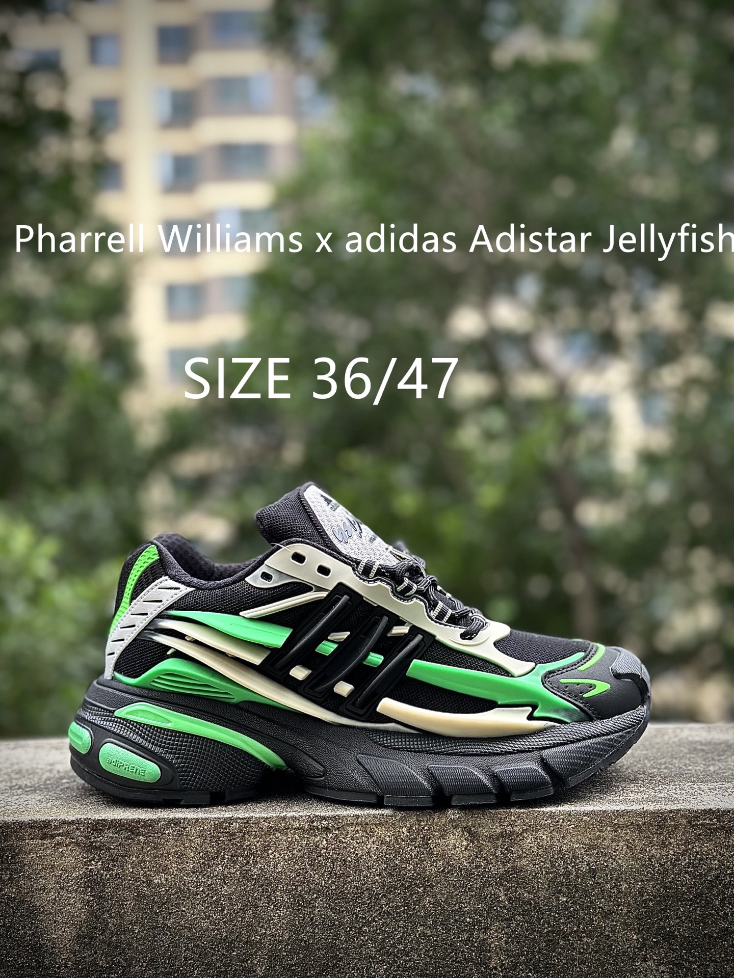 Pharrell x adidAdistar Jellyfish 低帮复古风老爹鞋 菲董4.0 水母鞋 Pharrell x adidAdistar Jellyfish 低帮复古风老爹鞋 菲董4.0 水母鞋