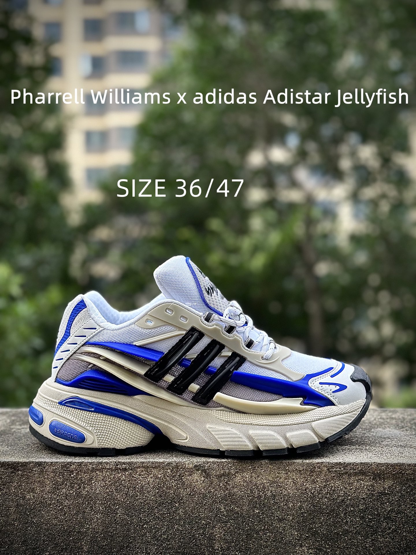 Pharrell x adidAdistar Jellyfish 低帮复古风老爹鞋 菲董4.0 水母鞋 Pharrell x adidAdistar Jellyfish 低帮复古风老爹鞋 菲董4.0 水母鞋