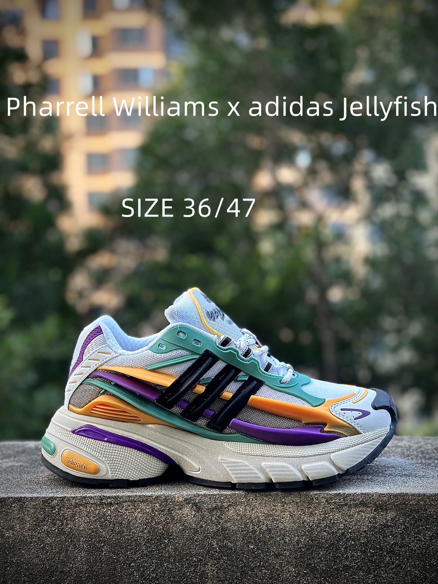 Pharrell x adidAdistar Jellyfish 低帮复古风老爹鞋 菲董4.0 水母鞋 Pharrell x adidAdistar Jellyfish 低帮复古风老爹鞋 菲董4.0 水母鞋