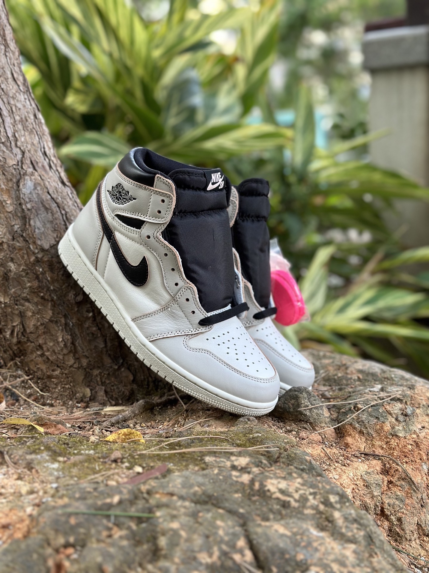 _dsS9s1fwquEgGUrxsBldJ8ajtDL5ynByCjI1npw