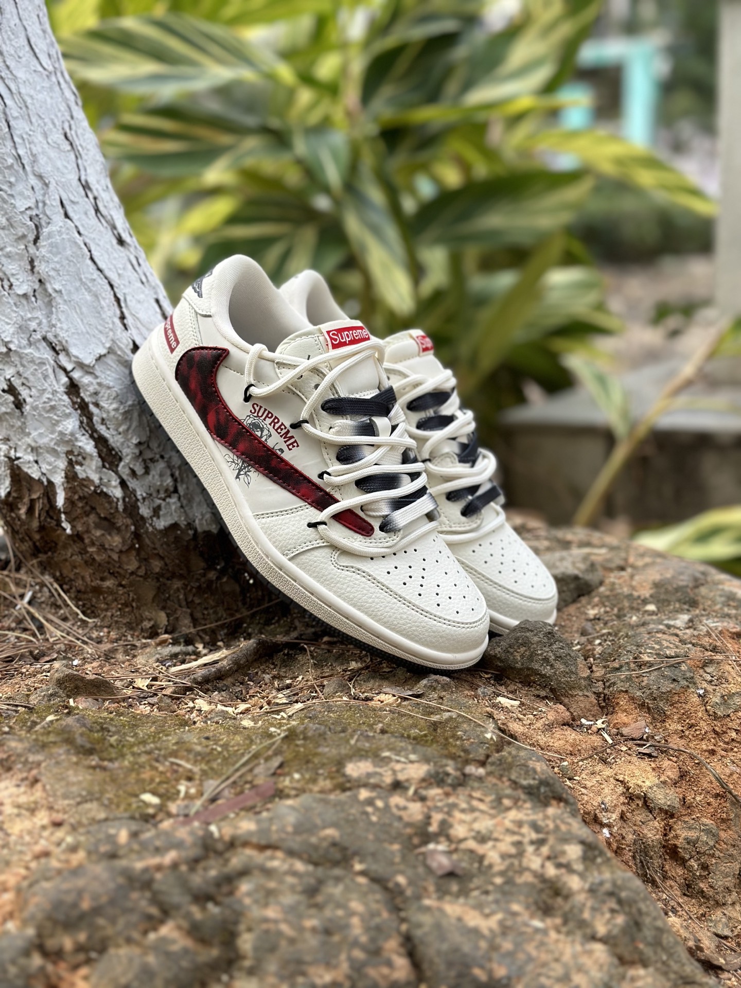 _dlj9scEa6blcsc1XGsP9sS6gytmeVV5aOWxO66w