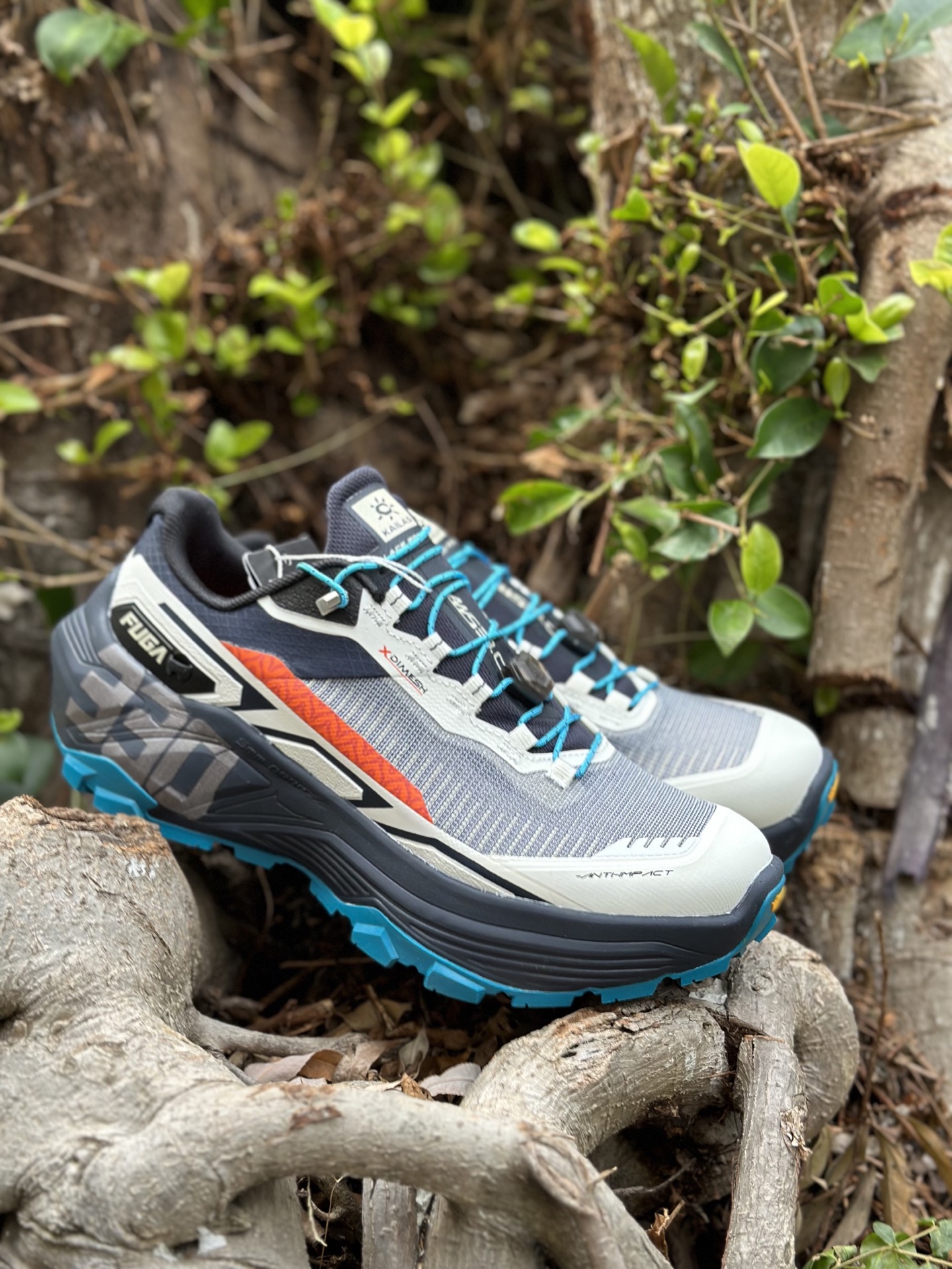 _dQr9snlW_YAY-4aOmKR5Iw1CoDyuzzNyxFIKecw